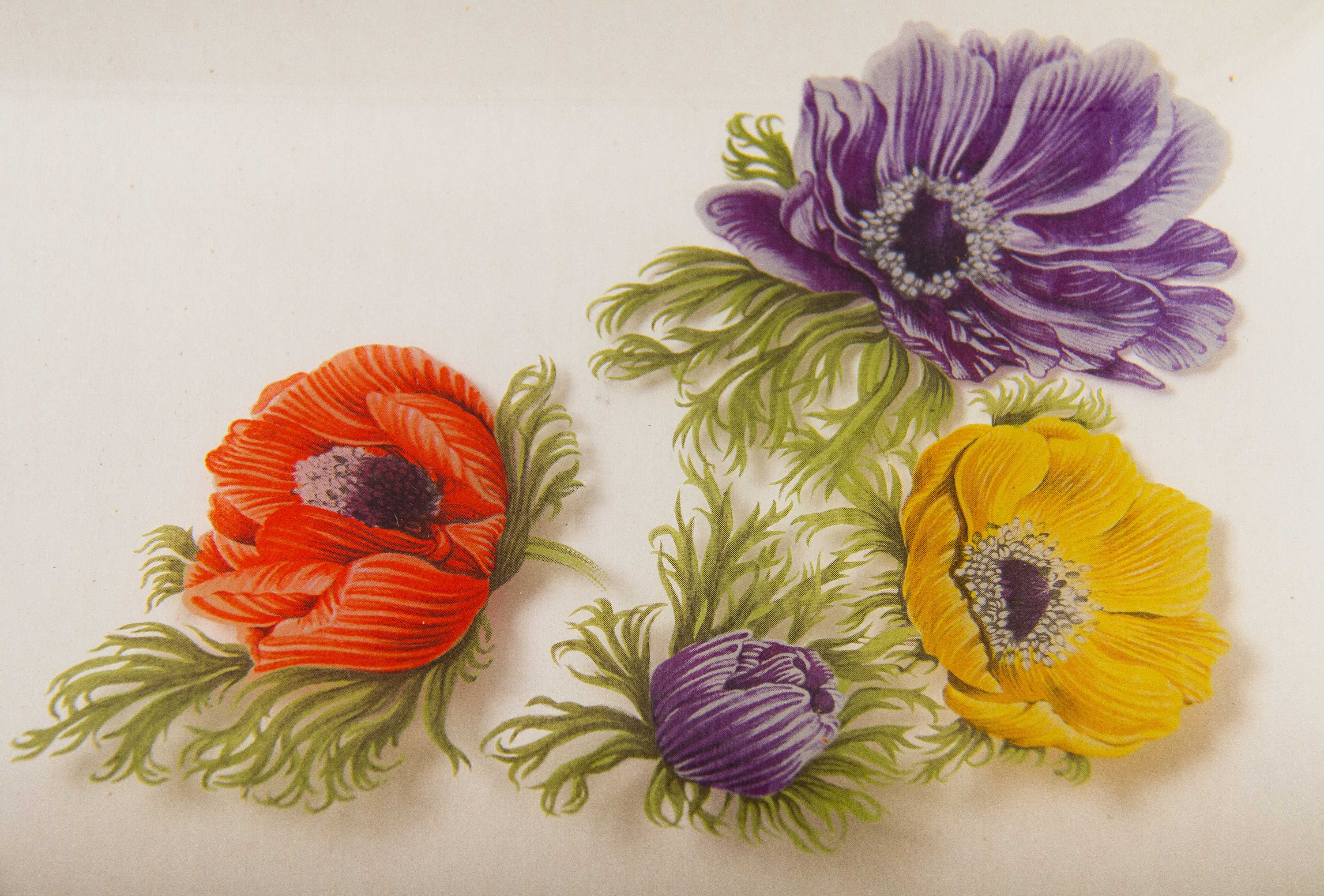 CHANCE Glass Rectangle Tray Anemone Flowers pattern red, purple, yellow on clear glass gold rim original box Mid Century