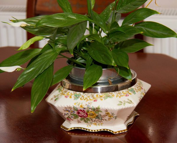 , James Kent London Regency Vintage rimmed chintz floral flower pottery planter plant pot bowl botanical decorated