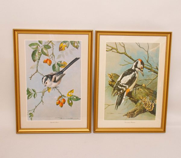 Basil Ede Bird Prints, Basil Ede Pair of Bird Prints Framed Vintage Avian Art