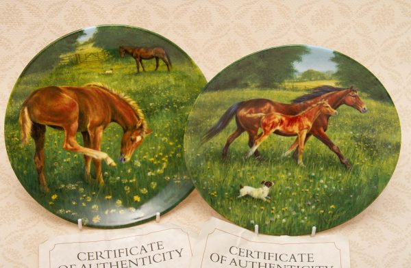 Royal Worcester Porcelain Equestrian plates, Royal Worcester Porcelain Equestrian Decorative Collectors Plates &#8211; &#8216;First Outing&#8217; &#038; &#8216;Finding Her Feet&#8217; Horses